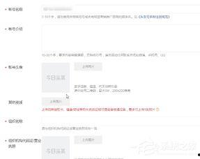 頭條號認證方,揭秘自媒體時代內容創作者的綠色通道