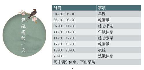 少林寺網(wǎng)紅孵化基地,打造新時(shí)代武林新秀的搖籃