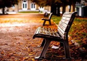 河邊長椅吃瓜,夏日吃瓜時光