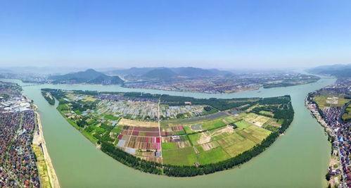 臨渭區洛灣鎮新聞頭條,聚焦鄉村振興，共繪美好家園新畫卷