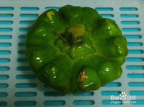 孕婦可以吃姜餅瓜,營(yíng)養(yǎng)美味，孕婦的甜蜜選擇