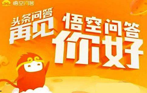 頭條號悟空問答分領域嗎,揭秘熱門話題背后的知識體系