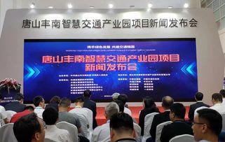 豐南爆料新聞電話,揭秘本地熱點事件背后的真相