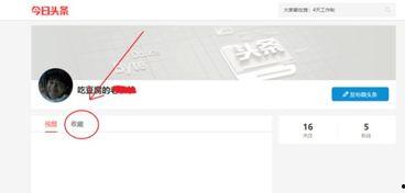 在頭條怎么查看我的收藏,輕松查看你的收藏內容