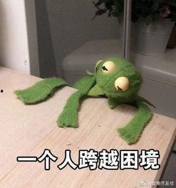 咸魚吃瓜,揭秘網絡熱點的幕后故事