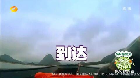 意外吃瓜合集,那些讓人捧腹的意外瞬間