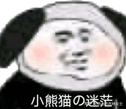 莎頭吃瓜表情包,揭秘網(wǎng)絡(luò)熱圖的魅力與傳播