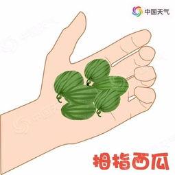 瓜瓜帶你吃瓜的bgm,盡享舌尖上的快樂之旅