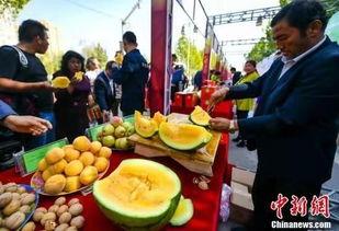 近期吃瓜事件遼寧,揭秘近期熱點事件背后的真相