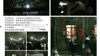 校園吃瓜群眾表白視頻,吃瓜群眾表白視頻，浪漫瞬間引網友熱議