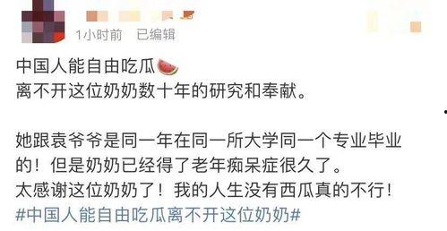 吃瓜列表一91,探尋91號背后的秘密與故事